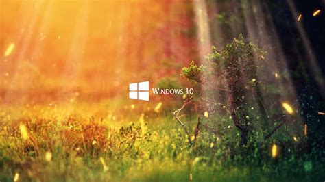 Windows 10 обои Wallpaper Engine Компьютеры