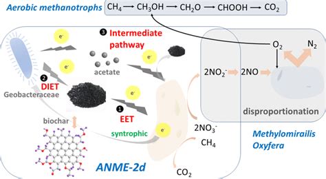 The Mechanisms Of Biochar Effects On Anaerobic Oxidation Of Methane