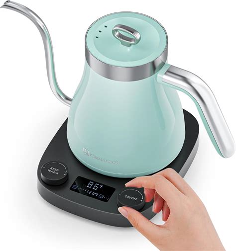 Maestri House 8 In 1 Gooseneck Electric Kettle With ±1°f