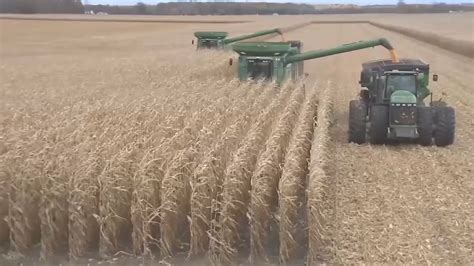 U.S. Corn Harvest the Second Slowest in Last 25 Years - AG INFORMATION ...
