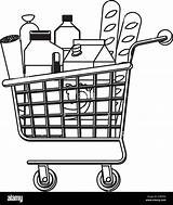 Cart Shopping Supermarket Sausage Juice Drinks Bread Foods Alamy Vector sketch template