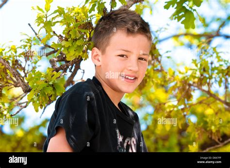 Cute Young Boy Smiling Up In A Tree Stock Photo Alamy