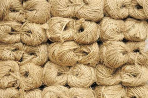 Natural Fibre Definition Uses And Facts