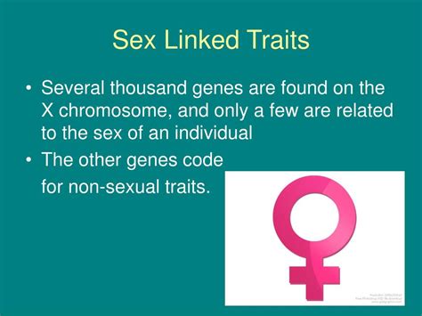 ppt sex linked traits powerpoint presentation free download id 6593325