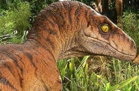 New Jurassic World Dominion Set Photo Leaked Showing Dinosaur Maquettes