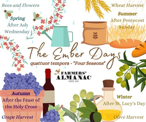 Ember Days Dates And Meaning Olive Harvest Grape Harvesting