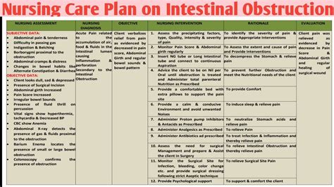 Ncp 64 Nursing Care Plan On Intestinal Obstruction Gi Disorders Youtube