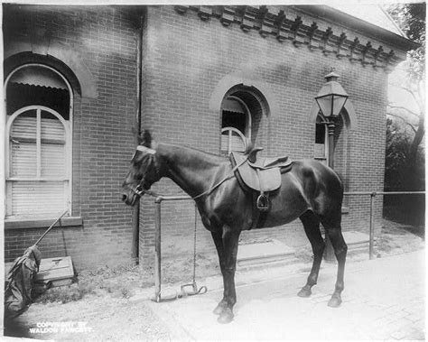 The White House Stables Had To Go President Taft And His Automobiles