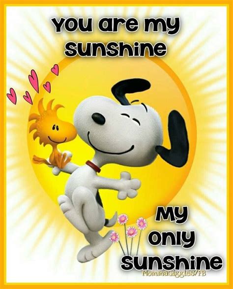 Pin By Shannon Guenther On Birthday Quotes Snoopy Funny Snoopy