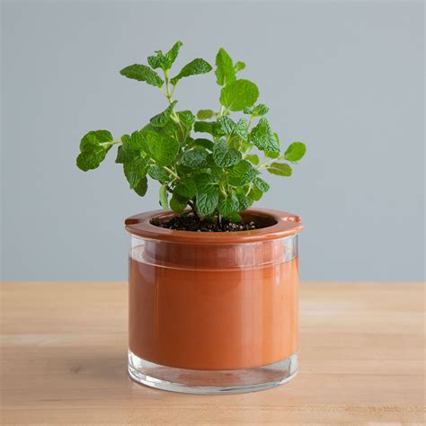 Perfectly Watered Plant Pot Self Watering Planter Uncommongoods