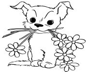 Coloriage Chien sur Coloriage.info ️