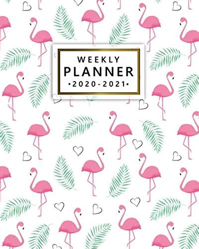 2020 2021 Weekly Planner Two Year Organizer And Planner With Weekly Spread View 2 Year Agenda