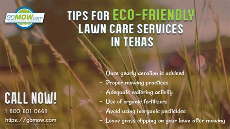 Tips For Eco Friendly Lawn Care Services In Texas Gomow