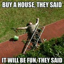 Image result for house buying memes