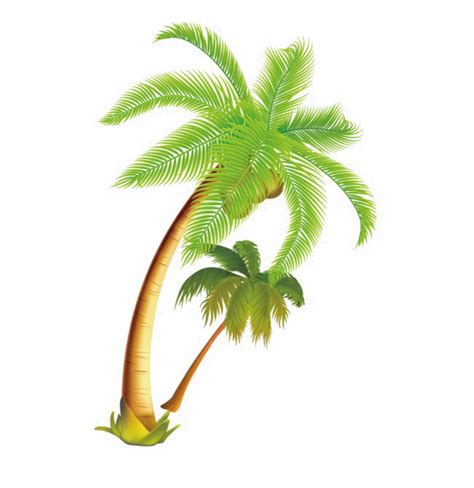 Coconut Tree Png Download Image Png Arts