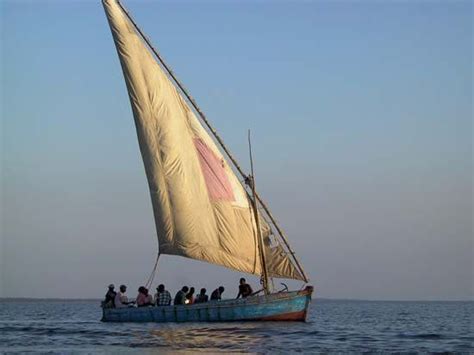 Dhow Arab Sailing Vessel