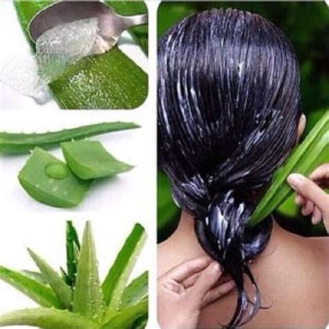 15 Produits Naturels Pour Des Cheveux Magnifiques Society19 Fr Aloe Vera Skin Care Masks