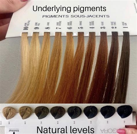 Top 112 Level 7 Hair Color Chart Polarrunningexpeditions