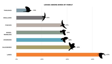 Why Has North America Lost 3 Billion Birds Cals