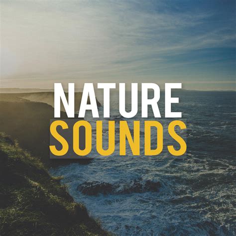 Nature Sounds Nature Sounds Iheart