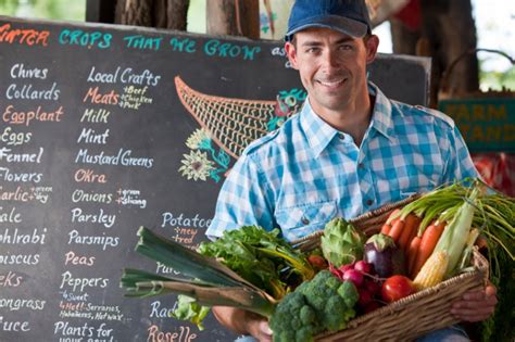 Holistic Nutrition Wellness Practitioner