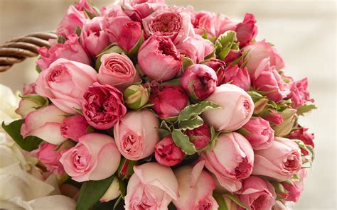 Wallpaper Pink Rose Flowers Beautiful Bouquet 2560x1920
