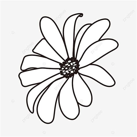 Free Black And White Daisy Clipart Black