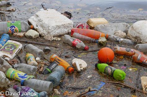 Plasticpollution Iln Noin