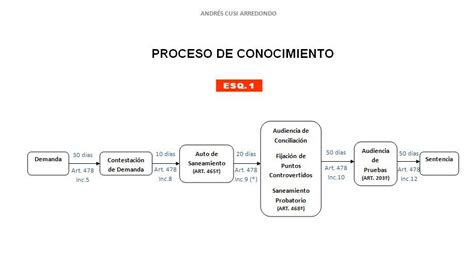 Andrés Eduardo Cusi Proceso De Conocimiento Esquema AndrÉs Cusi