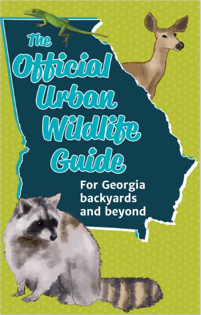 Urban Wildlife Guide Release Wildlife Atlanta