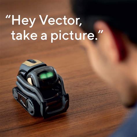 Anki has been making toys that use artificial intelligence for years now, starting with the anki overdrive set of racing cars and the interactive cozmo toy robot, but this year the company launched its most ambitious product: Vector Robot by Anki, A Home Robot Who Hangs Out & Helps ...