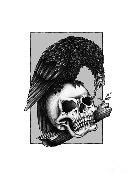 Skull And Raven Design Digital Art By Kevin Elias Pixels