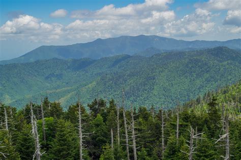 Meanderthals Clingmans Dome Area Trails Great Smoky Mountains