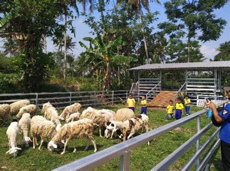 Check spelling or type a new query. 12 Contoh Gambar Desain Kandang Kambing Modern - Madani ...
