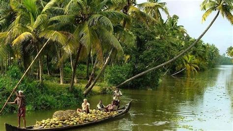 Kerala Gods Own Country Kerala Tourism Incredible India Tourism