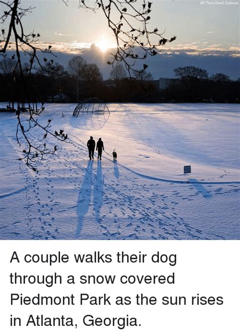 Ap Photodavid Goldman A Couple Walks Their Dog Through A Snow Covered