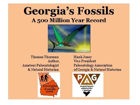 Georgias Fossils A 500 Million Year Record Thomas