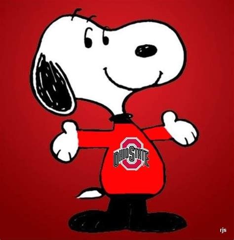 Images Of Ohio State Football Cartoon Images