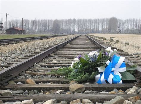 Die Gleise Von Auschwitz Erinnerung An Die Schrecken Der Nazi Zeit