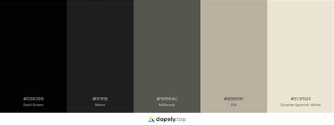 Black Color Palette Inspirations With Names Hex Codes Inside Colors