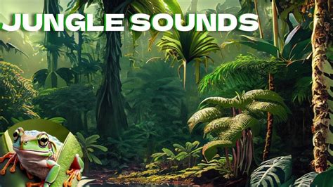 Be Immersed Within These Relaxing Jungle Sounds Jungle Animal Sounds