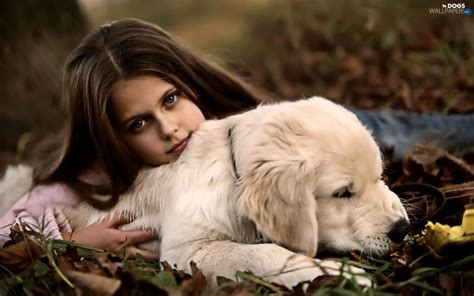 White Doggy Girl Dogs Wallpapers 1680x1050