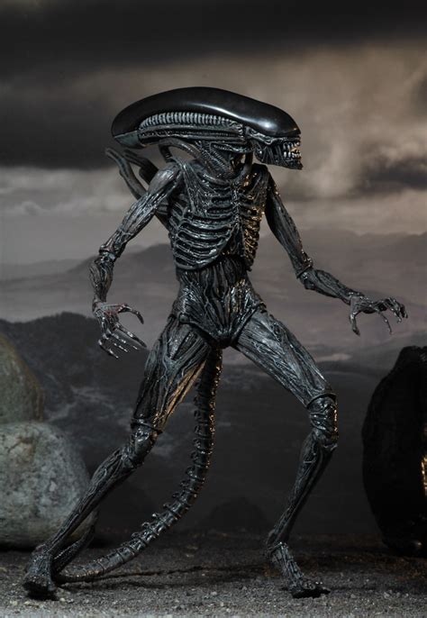 The praetomorph, also known as the planet 4 xenomorph, was a variant of the species xenomorph xx121 that attacked the crew of the uscss covenant. NECA Reveals Neomorph & Xenomorph Alien Covenant Figures ...