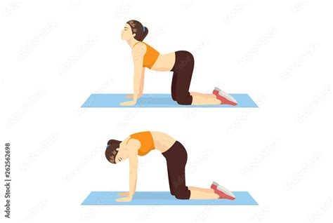 Woman Doing Cat Cow Workout In Step To Stretch The Back And Promote
