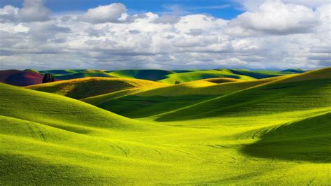 Green Landscape High Definition Wallpapers Hd Wallpapers