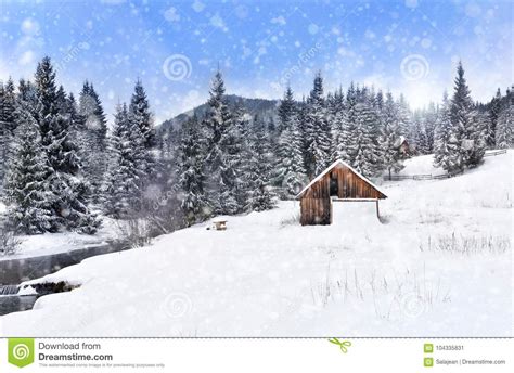 Winter Wonderland With Fir Trees Christmas Greetings Stock Image