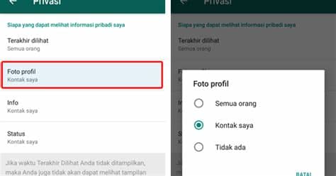 Oleh karena itu, tidak heran bahwa sebagian besar pekerja yang menggunakan whatsapp memanfaatkan fitur ini. 45+ Alasan Foto Profil Wa Tidak Muncul