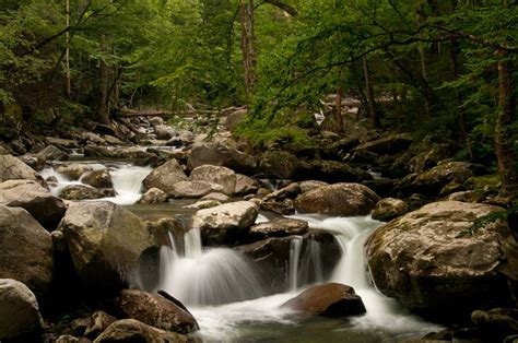 15 Of The Most Incredible Rivers In Tennessee