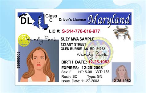 Maryland Drivers License Template Psd Photoshop File