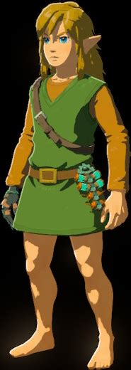 Tunic Of The Hero Zelda Wiki